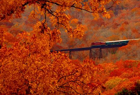 A & M Railroad Excursions image