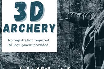 3D Archery image