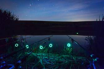 Glow Fishing image
